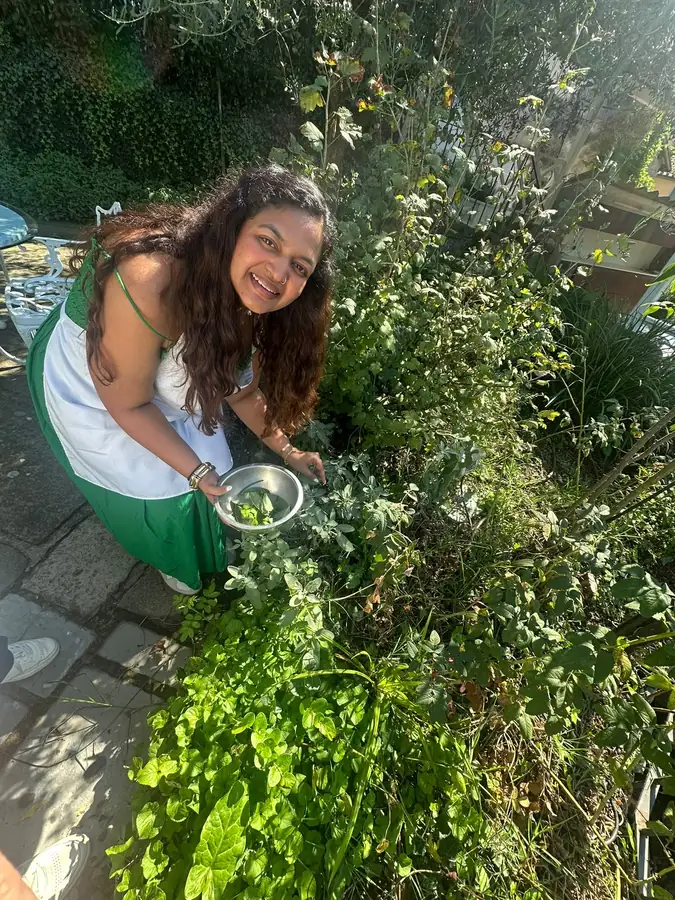 Foraging herbs in a garden